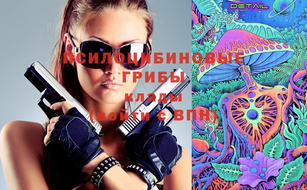 бошки Володарск
