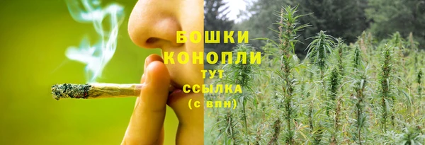 гидра Волоколамск