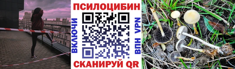 Псилоцибиновые грибы ЛСД  где купить наркоту  нарко площадка клад  Пушкино 